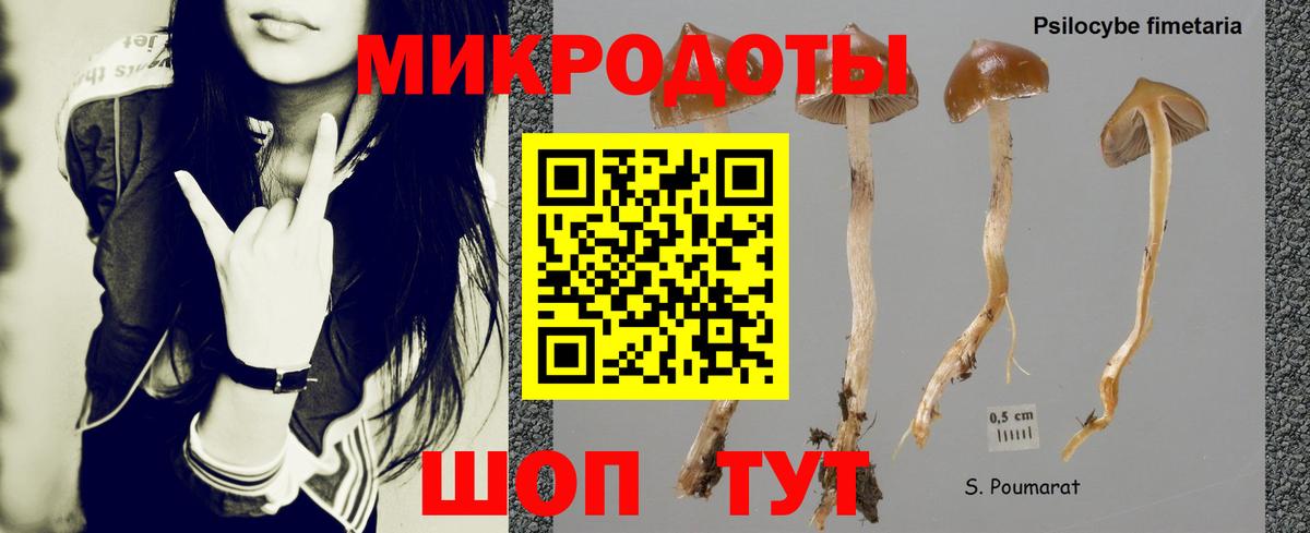 Нововоронеж  Псилоцибиновые грибы Psilocybine cubensis  Псилоцибиновые грибы прущие грибы  Вход с VPN 